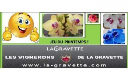 Jeu du printemps 