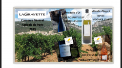 Concours Général Agricole de Paris